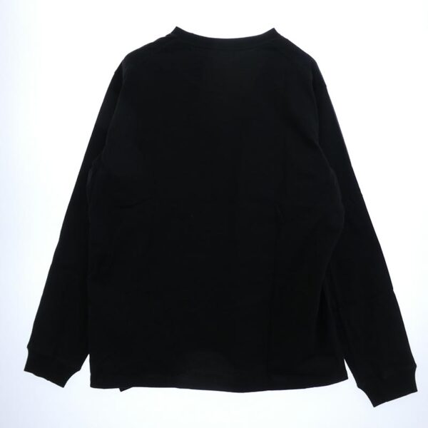 アークテリクス X000009714 Kragg Cotton LS クラッグ コットン ロングスリーブ 長袖 Tシャツ 買取実績 画像