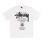 ステューシー World Tour Tee 画像