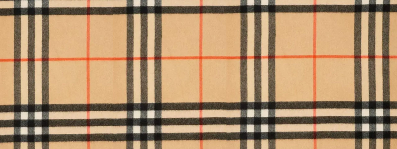 2.ハウスチェック　画像