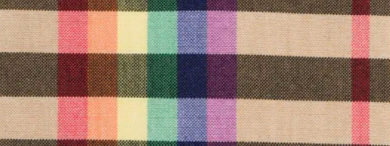 9.レインボーチェック　画像