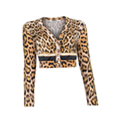 Roberto Cavalli Knit Animal Print Cardigan / ロベルト カヴァリ ニット アニマルプリント カーディガン 画像