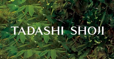 タダシショージとは 画像