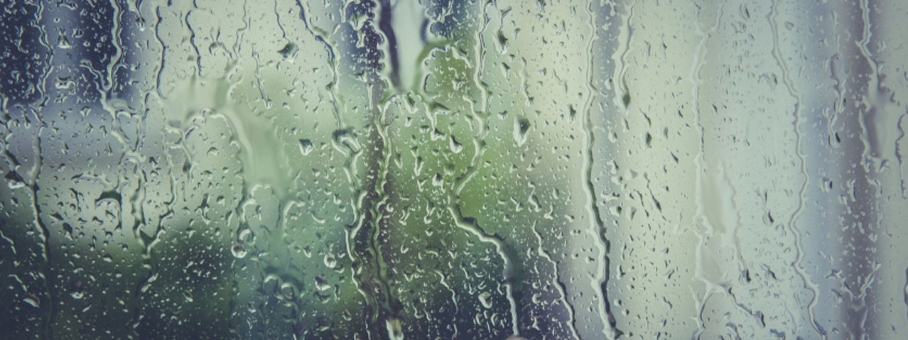虫食いが起きやすい季節と保管環境｜衣替え・梅雨前後は特に注意　画像