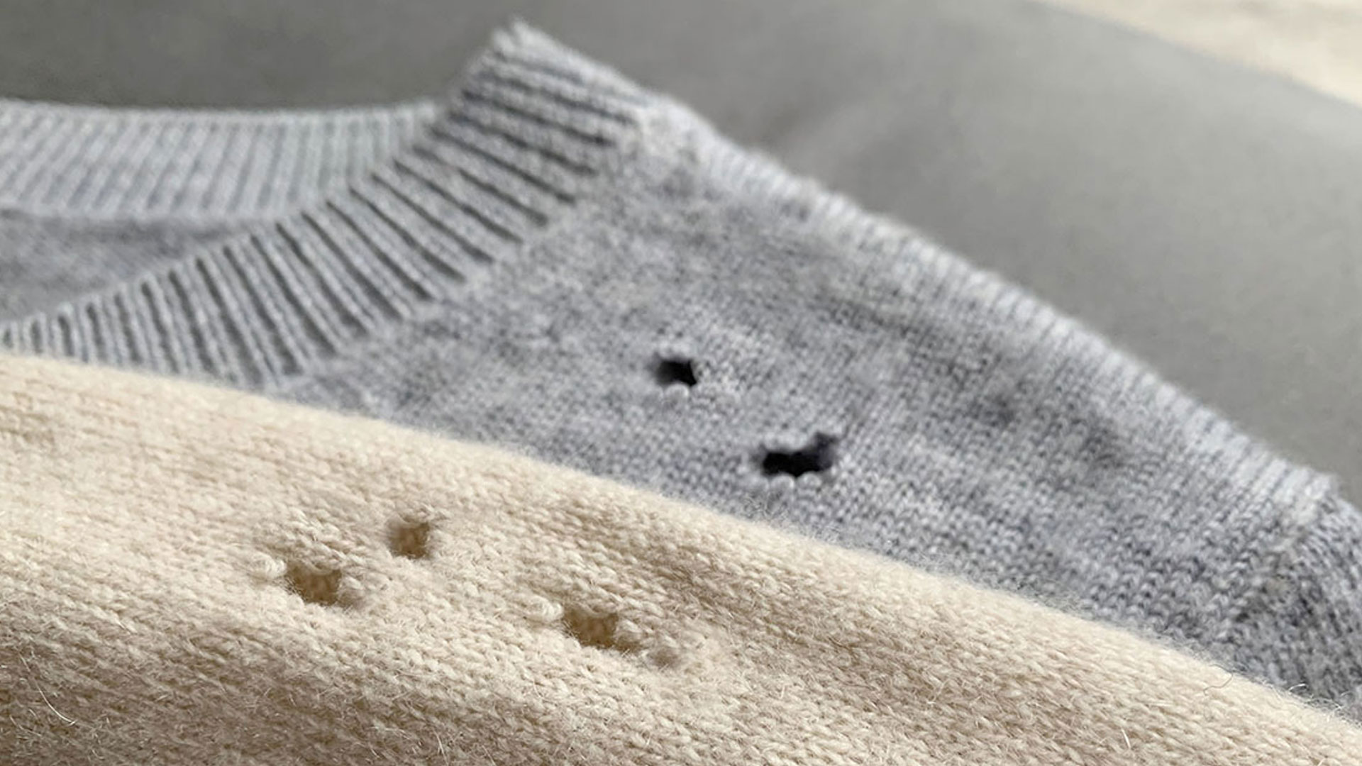 ブランド服の虫食い対策完全ガイド｜見分け方・予防・補修とブランド服を守る方法