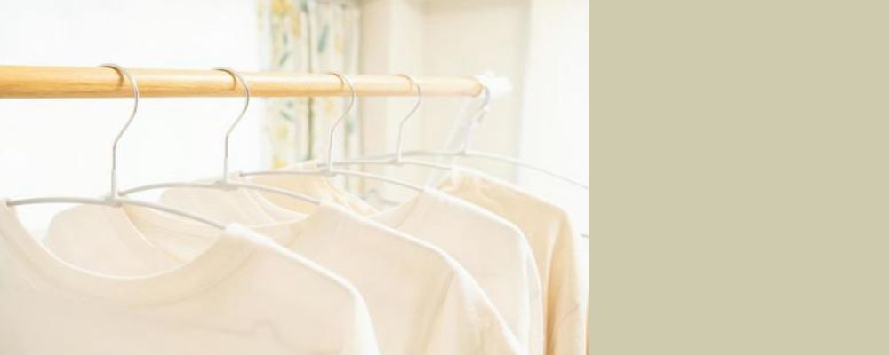 服のカビ対策完全ガイドカビ臭が残るときの考え方画像