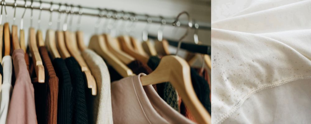 服のカビ対策完全ガイドなぜ衣替え後の服はカビやすいのか画像