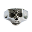 フラッシュポイント JIM SKULL STAR ジムスカルリング スター 画像