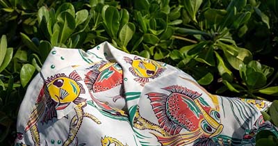 サンサーフ 高価買取 ポイント 出来る限り早めの売却 画像