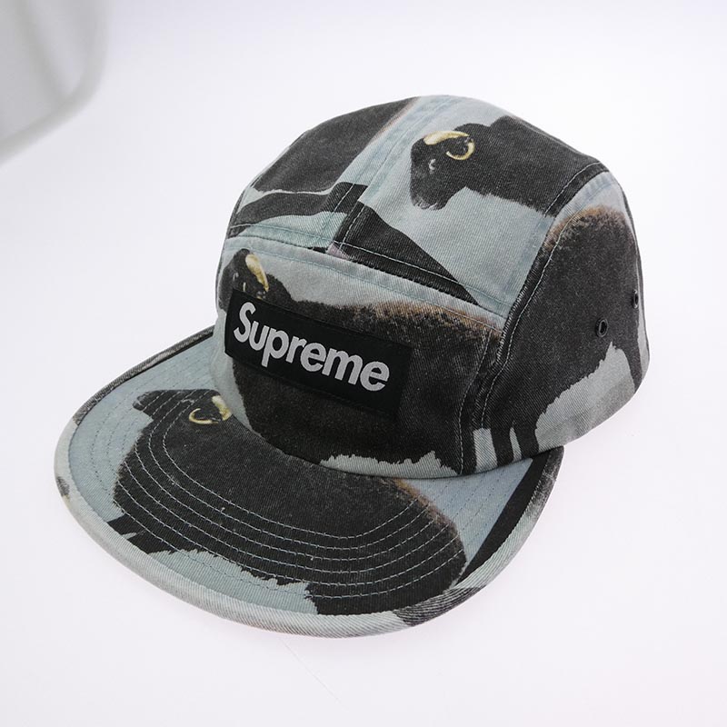 シュプリーム 25SS × Damien Hirst ダミアン ハースト Camp Cap  買取実績