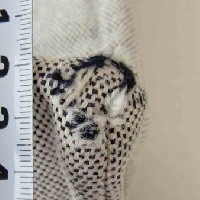 エルメス　バッグ　破れ画像