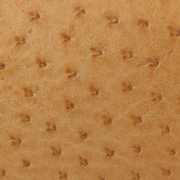 エルメス オーストリッチ 画像