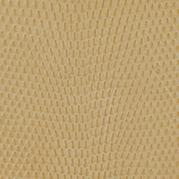 エルメス リザード 画像