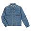 エヌハリウッド N.HOOLYWOOD × Wrangler 11MJ エヌハリウッド × ラングラー デニムジャケット Gジャン 画像