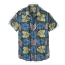 パタゴニア 52561 リヒニ パタロハ シャツ 画像