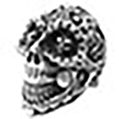 ビルウォールレザー R407 Master Skull マスタースカル メキシカン リング シルバー系 22号 保証書付属 画像