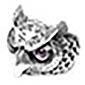 ビルウォールレザー × BEAMS ビームス OWR-02 オウルリング #17号 / 純正巾着袋付属 ギャランティーカード付属 画像