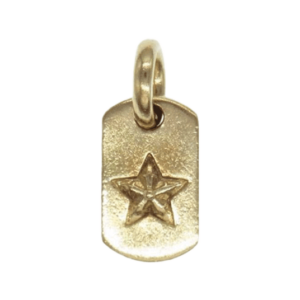 クロムハーツ （原本無） 22K タイニー ドッグタグ スター チャーム ネックレス トップ 買取実績