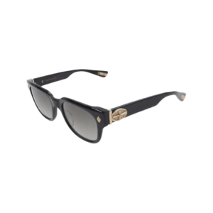 クロムハーツ （原本無） 購入店印字冊子付 GIVENHED 18KGP クラシックオーバルクロス テンプル スクエア サングラス 買取実績