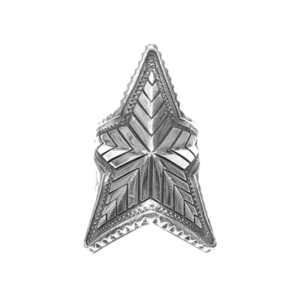 コディサンダーソン Depp Star Ring 買取実績