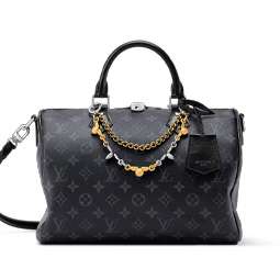 ルイヴィトン　スピーディ･ソフト 30　画像