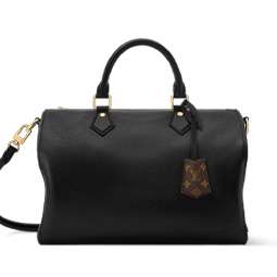 ルイヴィトン　スピーディ･ソフト 30 エピ　画像