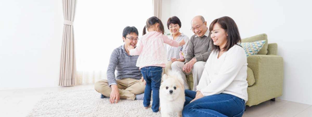 50代 女性 終活 家族・親族との情報共有方法 画像