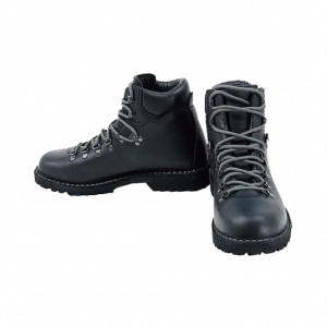 ディエッメ ROCCIA VETブーツ買取実績