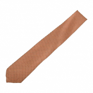 エルメス 625759 POISSON CHAT シルクツイル ネクタイ 買取実績