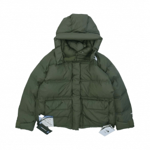 ハイク × THE NORTH FACE  19AW NDW991HY WS BIG DOWN JACKET 買取実績