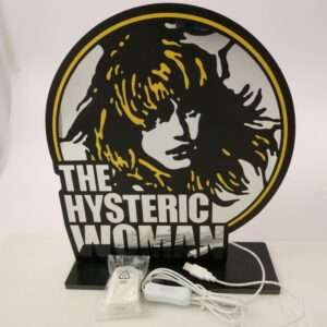 ヒステリックグラマー THE HYSTERIC WOMAN ウーマン インフィニティ ミラーライト ノベルティ 買取実績
