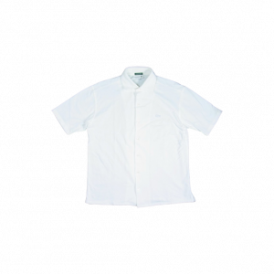 ラコステ EXCLUSIVE EDITION シャツ 買取実績