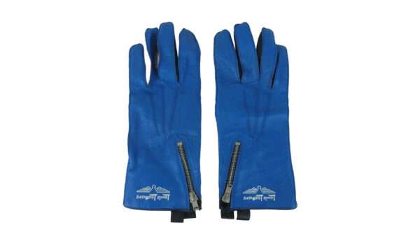 ルイスレザー RACING GLOVES 買取実績