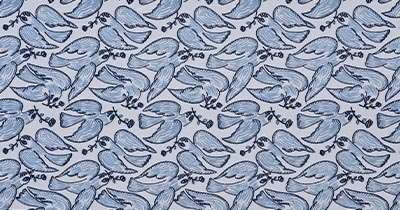 ミナペルホネン following dayフォローイングデイ 画像