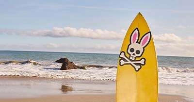 サイコバニーについて 画像