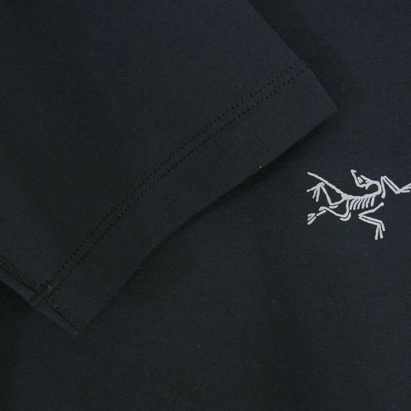 アークテリクス X000007404 Cormac Heavyweight Hoody Mens コーマック ヘビーウェイト フーディ ロゴプリント インナー パーカー 買取実績 画像