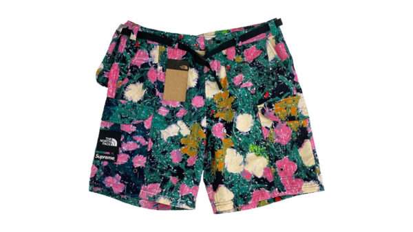 シュプリーム × The North Face 22SS NB022071 Trekking Packable Belted Short Flowers  買取実績