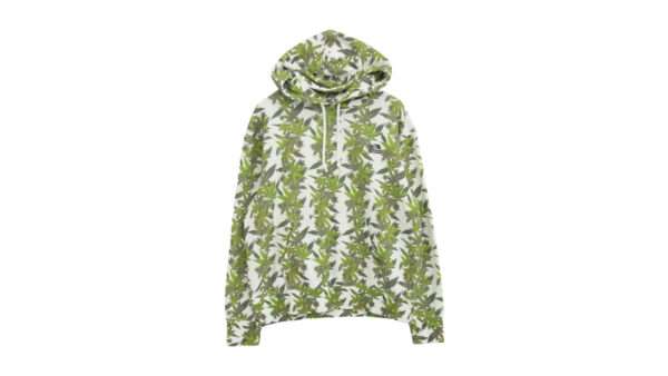 シュプリーム × THE NORTH FACE ザ ノースフェイス 23AW NT52301I Leaf Hooded Sweatshirt 買取実績