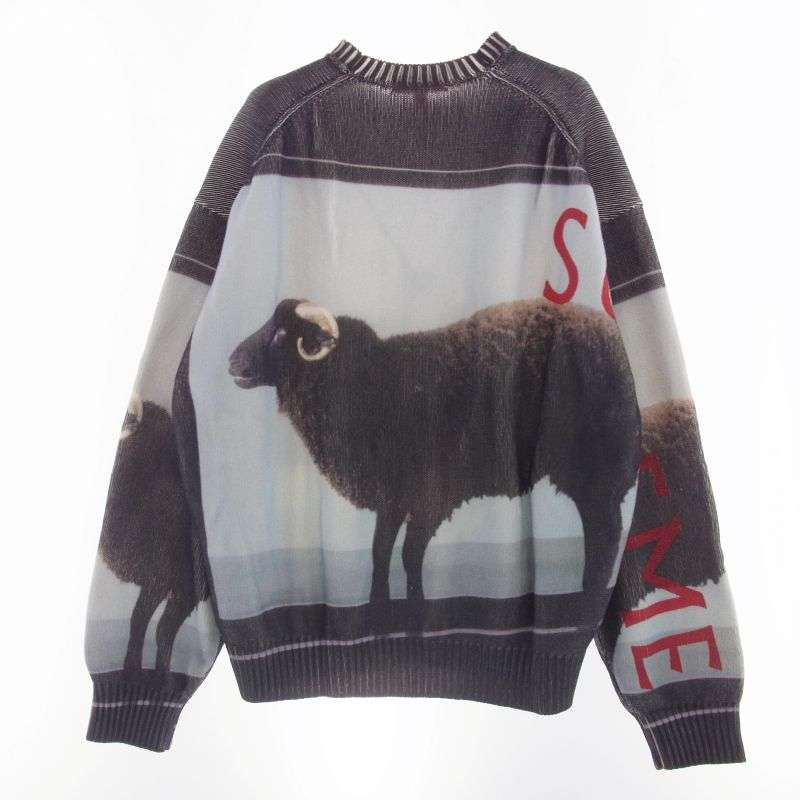 シュプリーム 25SS Damien Hirst Sweater 買取実績