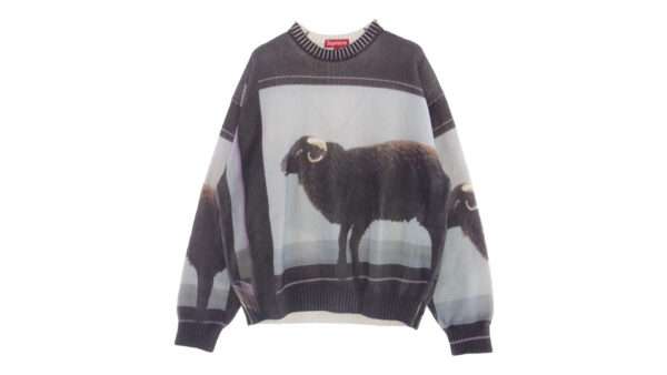 シュプリーム 25SS Damien Hirst Sweater 買取実績