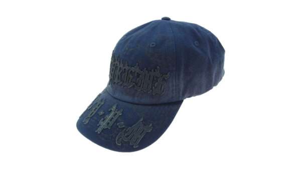シュプリーム 25SS Leather Applique 6-Panel 買取実績