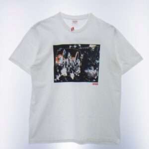 シュプリーム Futura Tee 買取実績