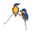 スワロフスキー Anton Hirzinger デザイン ブルーターコイズ『Kingfishers カワセミ』鳥オブジェ 箱付 画像
