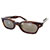 テンダーロイン × 白山眼鏡 IN THE WIND メガネ サングラス BROWNE/GREY 画像