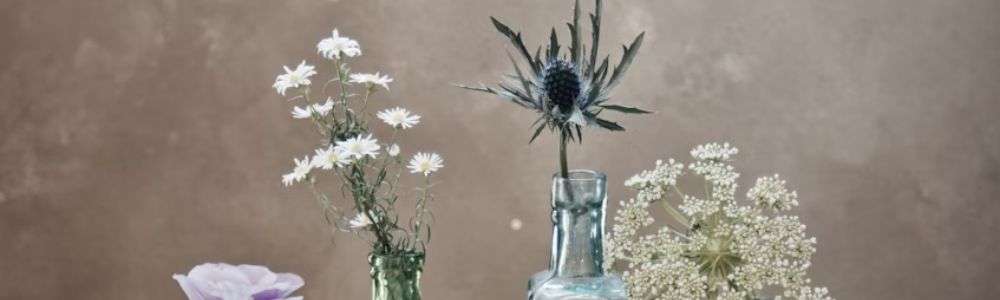 「 捨て活」がもたらす驚きの効果とメリット 「捨て活」で運気が上昇?風水的な効果について 画像