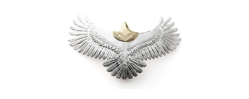 アリゾナフリーダムイーグル|力強さと名誉の象徴画像