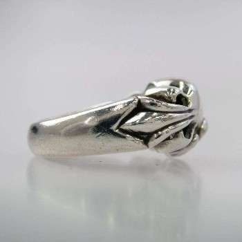 FLRL CRS HRT横画像