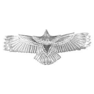 ワシミタロウ イーグル ペンダント 買取実績